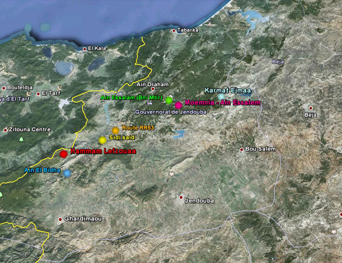 CETA - Etude de réparation de points de glissement de terrains sur les routes classées dans le gouvernorat de Jendouba – Lot 5